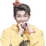 Kim namjoon