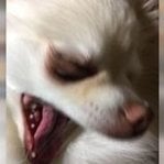 syotaro
