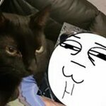 Ninfreak116