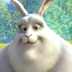 BigBunny11