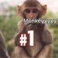 Monkeygamer