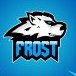 FrOsT TV
