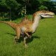 VelociRaptor Blue