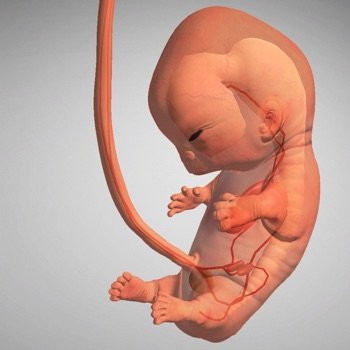 [ARM64] 9 Months v1.13.1 Jailed Cheats +1