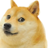 Doge_for_life
