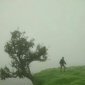 ffskrutarth