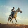 Mohammed.a.khamis