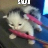 Stallonee
