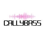 CALLYBASSSTUDIO