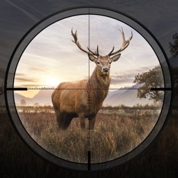 Hunting Sniper: Marksman v2.02.0301 Cheats +1