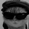 User726272