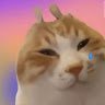 Ngquynhcutiis1tg