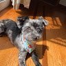 Rockythetaki