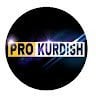 PRO KURDISH