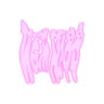 cxvxir
