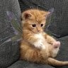 Kzzzzzz