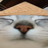 Triett