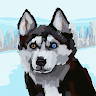 handsomeZLP
