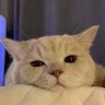 Rddderfcdxdade