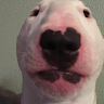 Rondoofersosu