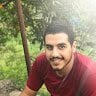 toni mansour