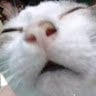 GamingGuero