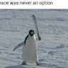TunanPenguin