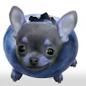 Brotato3477