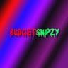 Budgetsnipzy