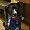 Pugthatgames13
