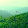 flydog_