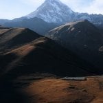 Ali22535524