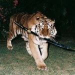 mighkohgyyuio