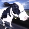 JjkkkOtiri