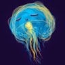 Jellyfrish