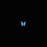 Solorus