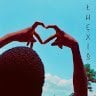 Lhexis