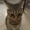 Caty629