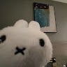 aixie