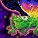FroggytmVr