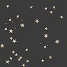 estrella100i