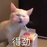 hntkjsl123