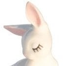 Softsigh