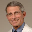 dr. fauci