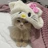 miachloe