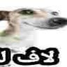 Gizzzbert