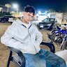 Mohmed bugs