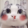 ndq _