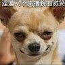 李嘉