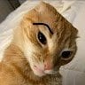 EL HP
